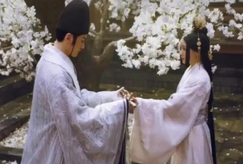 晴雅集為什么被強(qiáng)制下架，劇中情節(jié)容易產(chǎn)生負(fù)面影響