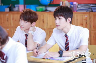 夏至未至為什么下架，隨著鄭爽被封殺而下架