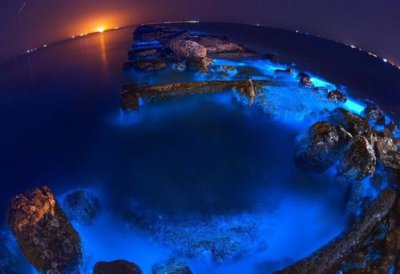 熒光海是怎么形成的,海水中的鞭毛藻等發(fā)光微生物所致