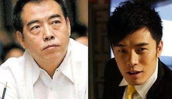 陳赫和陳凱歌的關系,二人是叔侄關系