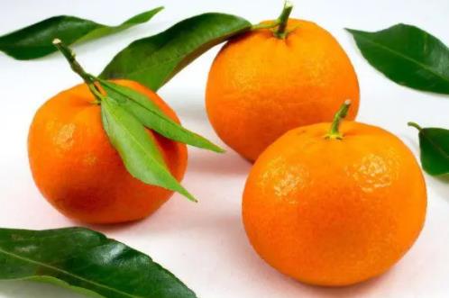 橘子為什么代表暗戀，千萬不能隨便送異性橘子