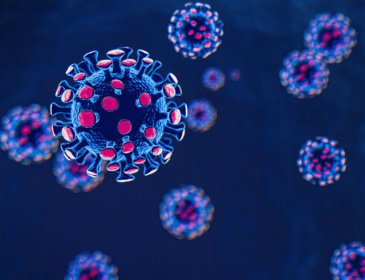 三個好消息新冠病毒即將結(jié)束是真的嗎，視頻是假的