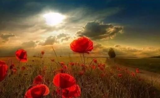 夢境真的會有暗示嗎,夢到的情景和現實有密切的聯系