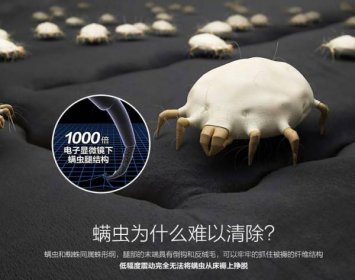 螨蟲最怕這3種東西，怕艾草、紅霉素+白醋+蜂蜜、太陽這3種東西