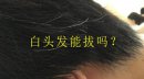 拔一根白頭發(fā)真的會(huì)長十根嗎,沒有理論根據(jù)