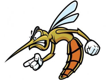 殺了一只蚊子犯法嗎，殺蚊子不存在違法犯罪的問題