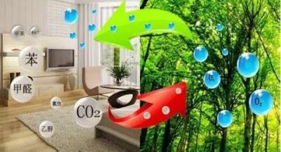 呼吸空氣犯法嗎,沒有明文規(guī)定為犯罪行為