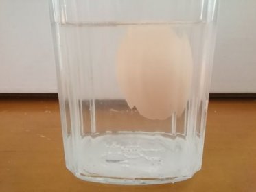 鹽水浮雞蛋的原理，是因為蛋的密度小于鹽水的密度