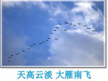 你說大雁南飛后和我一起走是什么歌,還沒有愛夠