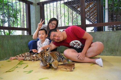 小老虎是誰的孩子,不是顧磊的兒子.而是展翔的兒子