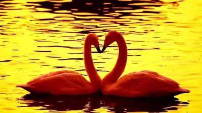 夫妻如何陰陽互補,適當的感官刺激非常重要