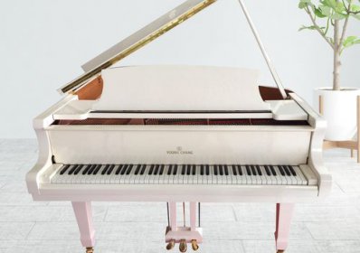 鋼琴價格一般多少錢,好的鋼琴沒有價格上的限制