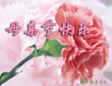 母親節是5月的第幾個星期日,每年公歷五月份的第二個星期天