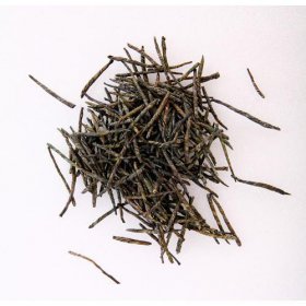 苦茶子是什么梗,就是褲衩子的諧音梗