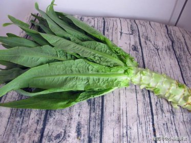 萵筍葉為什么不能吃，是苦的.能吃只是口感要差一些