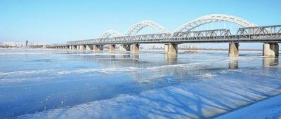 哈爾濱大河子是誰，背靠大樹的有權勢之人