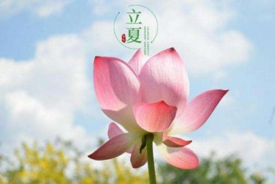 立夏是夏天的開始嗎，在天文學上標志著告別春天