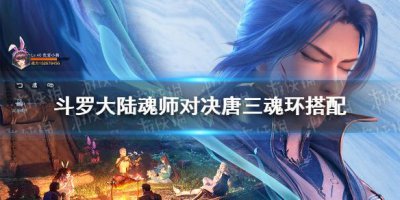 唐三有20個魂環嗎，有兩個武魂的唐三要勝過霍雨浩