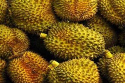 榴蓮不熟要怎么放才能熟，只能保鮮膜包起來(lái)放冰箱里